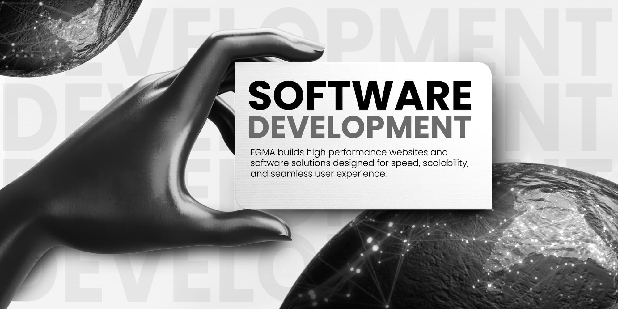 Website & Software Development